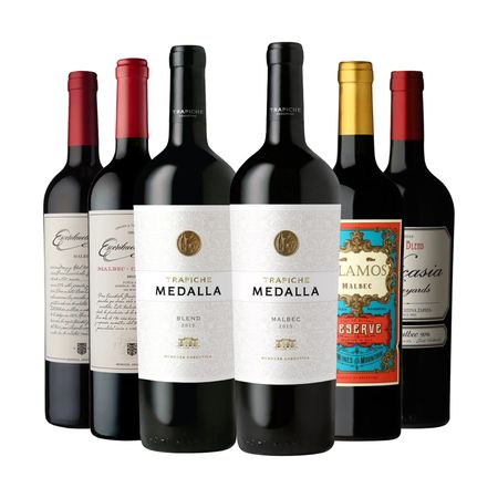 Set Vinos Tintos Combinados Malbec y Blend Seleccion x 6 Con Estuche