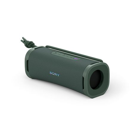 Parlante portátil inalámbrico Sony ULT FIELD 1 Gris