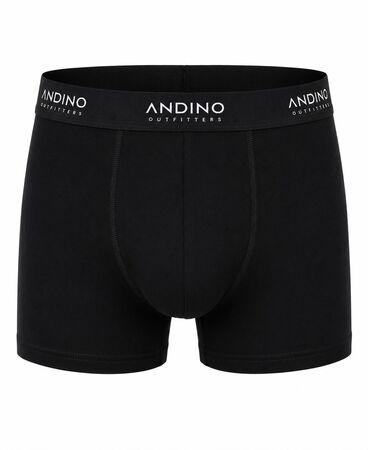Boxer Andino