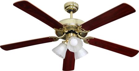 Ventilador De Techo Insigna Isg-52-4Pmaor 5A 60W