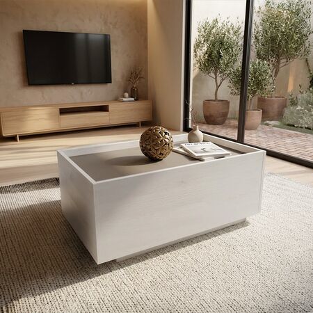 Mesa De Centro 1 Puerta  Polar|gris C. Tables