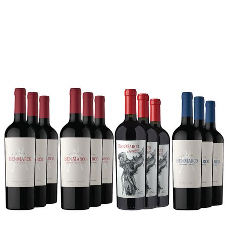 Vinos Tintos BenMarco Seleccion x 12