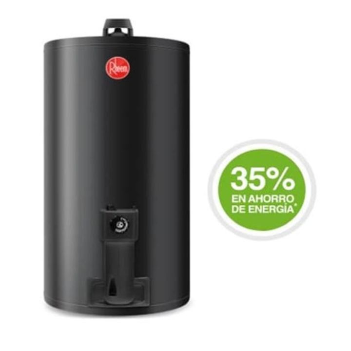 Termotanque Rheem-Nl TGNC080RH 80 Litros A Gas Inferior - Vista 2