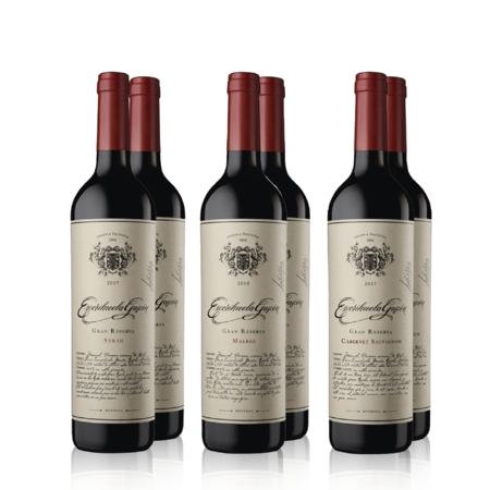 Vino Tinto Escorihuela Gascon Gran Reserva Seleccion I x 6
