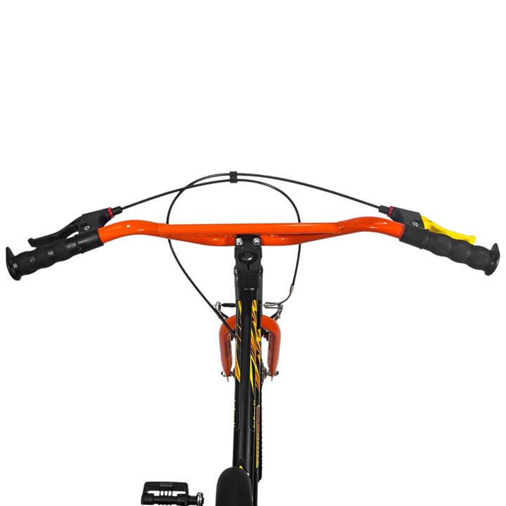 Bicicleta Infanti R20 PT/LI - Vista 5