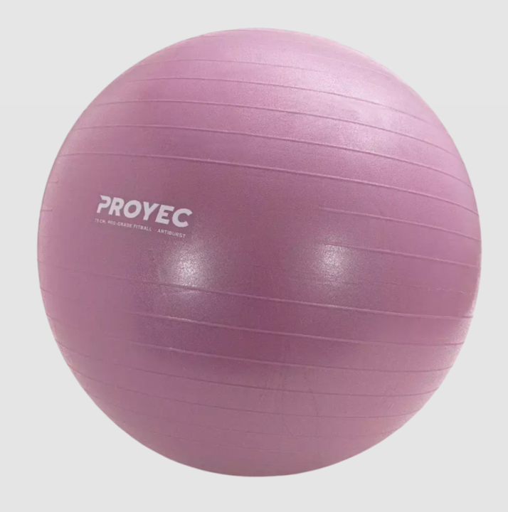 Pelota de Esferodinamia Resistent Proyec 65 cm (000218) - Vista 4