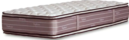 Colchon 1 12 Plazas La Cardeuse Topfuan 120x190 Resortes