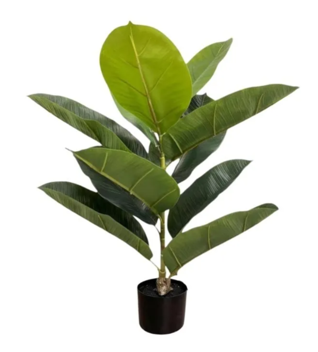 Planta Artificial Gomero 75CM - Vista 3