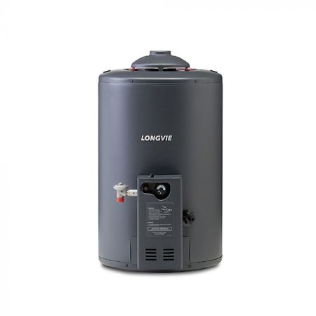 TERMOTANQUE LONGVIE 48LT.TP350AR REC.300L/HS