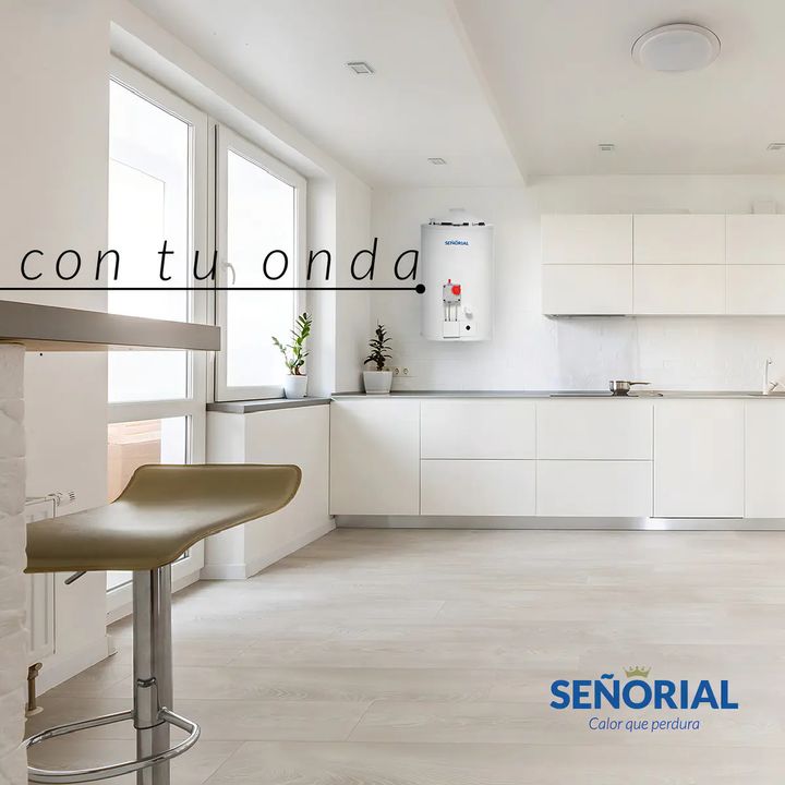 Termotanque Eléctrico 40 Lts Señorial Zafiro Tesz-40 Color Blanco - Vista 3