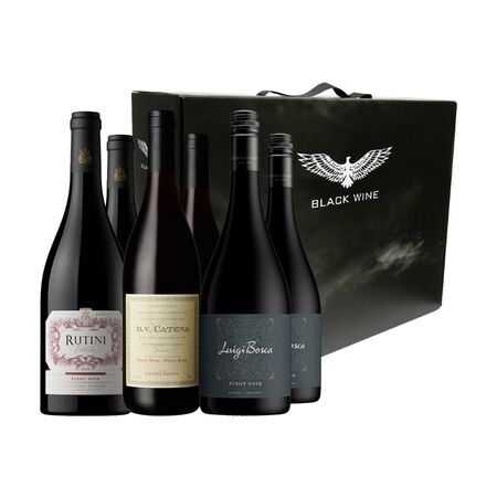 Vinos Tintos Pinot Noir Seleccion II x 6