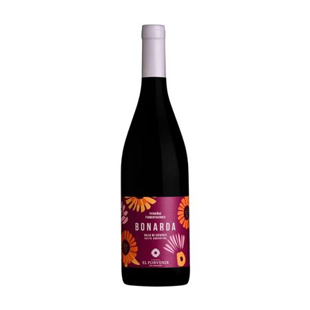 Vino Tinto Pequeñas Fermentaciones Bonarda 750 ml