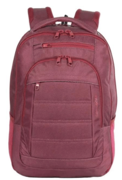 Mochila Samsonite TITAN Porta Notebook