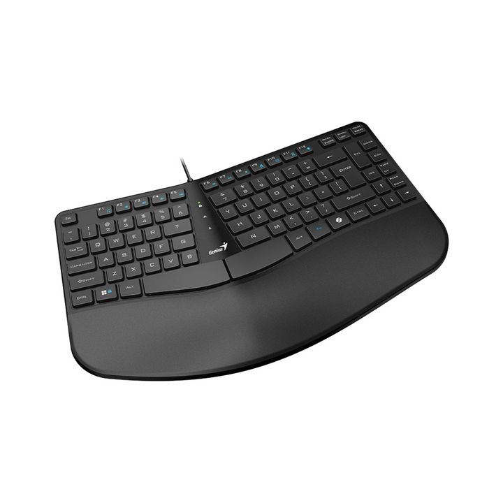 Teclado Genius Ergo KB-700 USB Ergonómico Negro - Vista 2