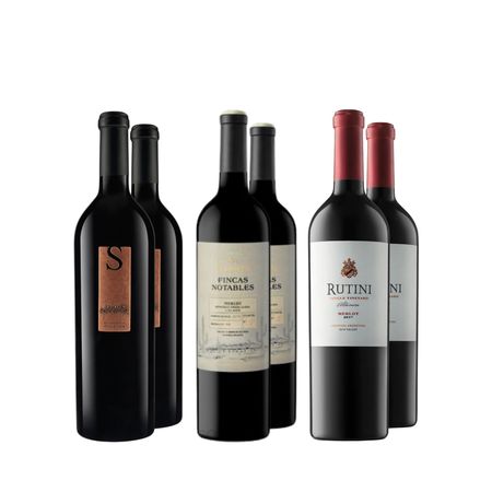 Vinos Tintos Merlot Seleccion x 6