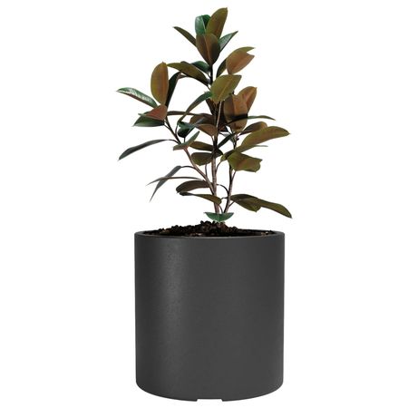 Maceta Rotomoldeo Cilindro N 40