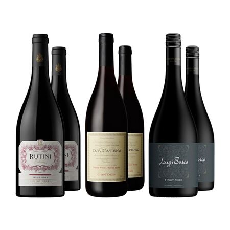 Vinos Tintos Pinot Noir Seleccion II x 6