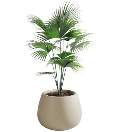  Maceta Rotomoldeo Batea N50 