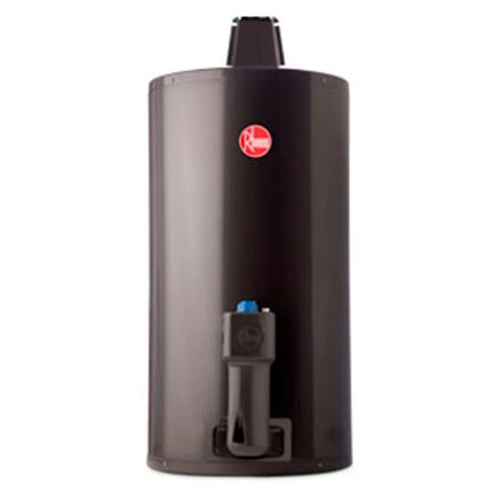 Termotanque Premium 80lts A.E.E Para colgar Gas natural Rheem