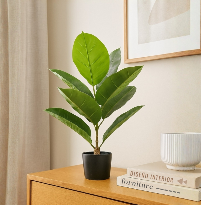 Planta Artificial Gomero 75CM - Vista 2