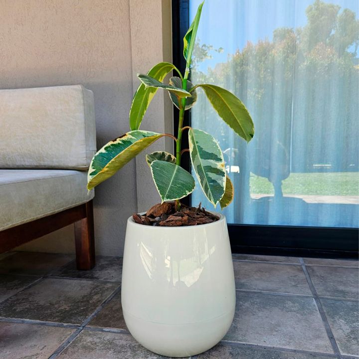 Maceta Autorriego Uovo Mediana Beruplast Blanco 42cm - Vista 6