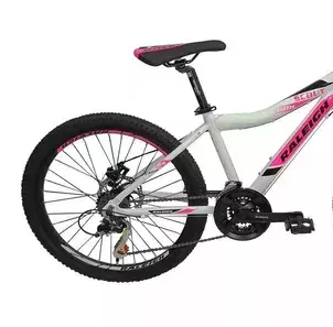 Bicicleta Mtb Ninos Raleigh Scout Rodado 24 Aluminio - Vista 3
