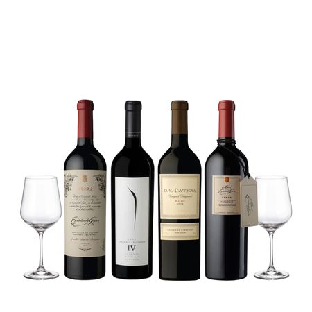 Set Vinos Tintos Valle de Uco Seleccion x 4 y 2 copas
