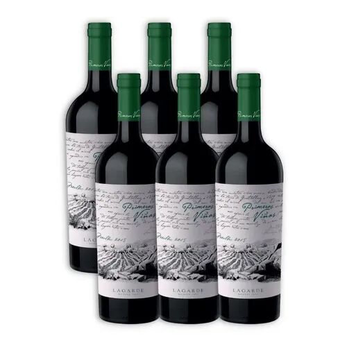 Caja x6-Primeras Vinas Malbec - Gualtallary - Vista 2