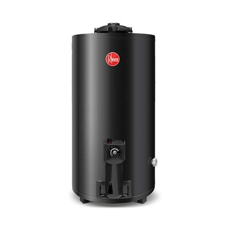 Termotanque Rheem Tgnp080rh 80l Gas Natural Otero Hogar