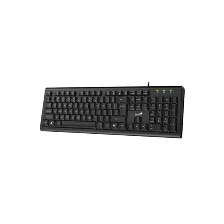 Teclado Genius KB113 Usb Negro