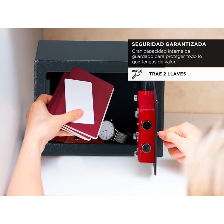 Caja Fuerte Gadnic Seguridad Reforzada Abulonar Pared - Vista 3