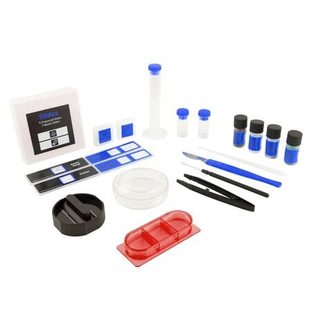 MICROSCOPIO BEMBE MI-900X