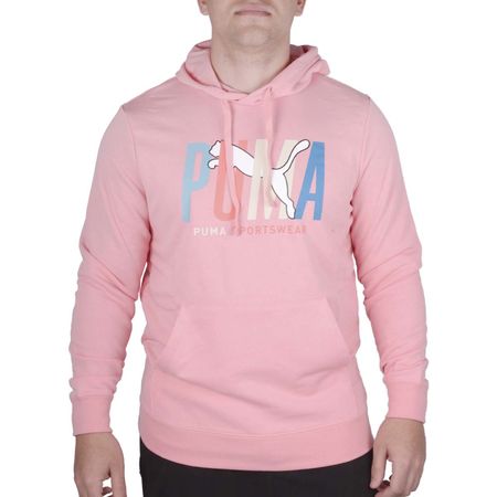 BUZO PUMA ESS GRAPHICS MULTICOLORED HOODIE TR 691259/27