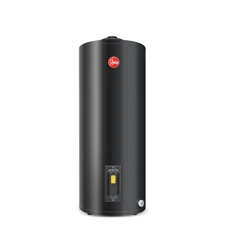 Termotanque Eléctrico Rheem Alta Eficiencia De Pie 125 Litros Tep125rh