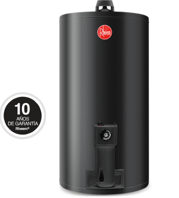 Termotanque a Gas Natural Rheem 80 Litros de Colgar TGNC080RH
