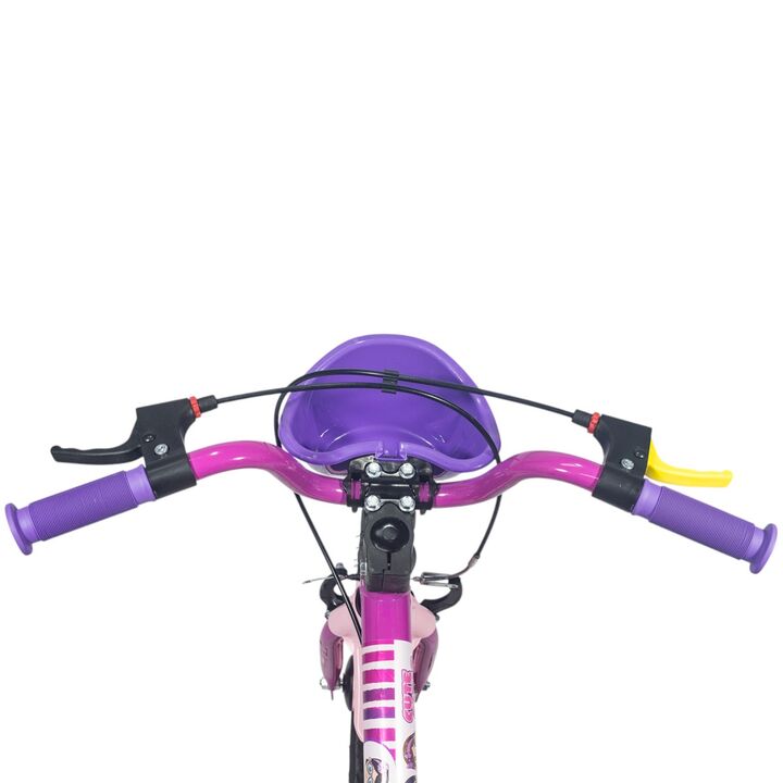 Bicicleta de paseo R16 Infanti con cantimplora Rosa - Vista 5
