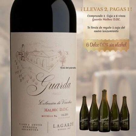 Caja Guarda Malbec Doc x6