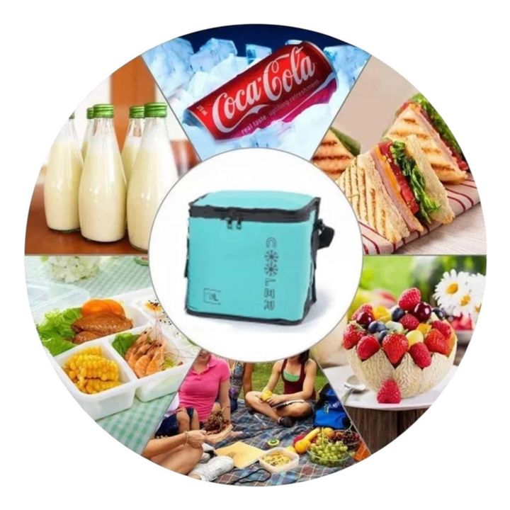Bolso Conservadora Con Asa 30 Litros Térmica Camping - Vista 4