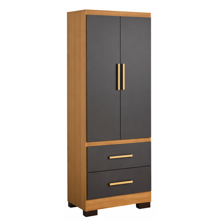 Placard Ropero de 2 Puertas y 2 Cajones Grafito Teca Maximo Fortaleza