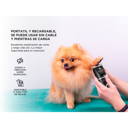 Máquina De Cortar Pelo Para Perros Gadnic S500+ Regulable Portátil Y Recargable 3.7V 5W