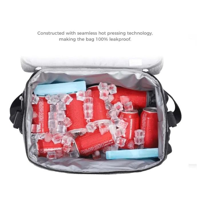 Bolso Conservadora Con Asa 30 Litros Térmica Camping - Vista 3