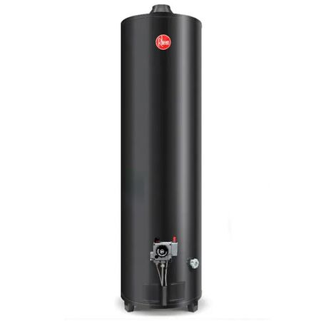 Termotanque 160lts Alta potencia A.E.E. De pie Gas natural Rheem