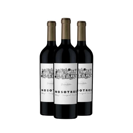 Vino Tinto Nosotros Malbec by Susana Balbo Caja x 3