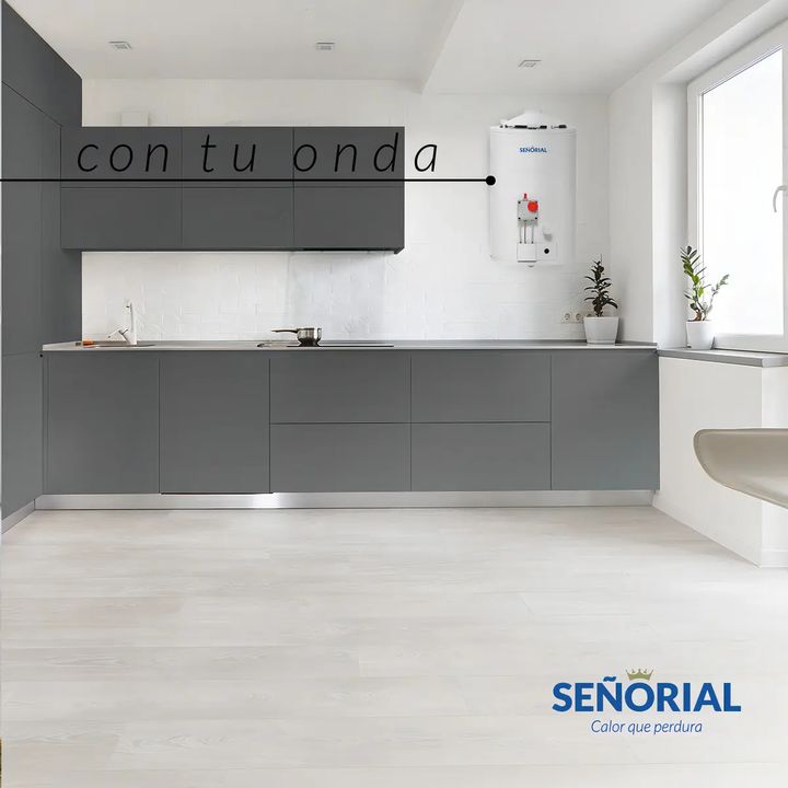Termotanque Eléctrico 40 Lts Señorial Zafiro Tesz-40 Color Blanco - Vista 2