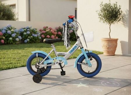 Bicicleta R12 Truppi Con Rueditas 3012 Varon Gribom