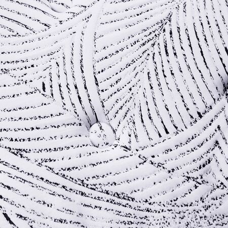 Colchon y Sommier King Koil Lexington 1 Plaza y Media 100x190 de Resortes Pocket + Espuma Viscoelastica