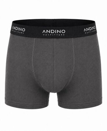 Boxer Andino