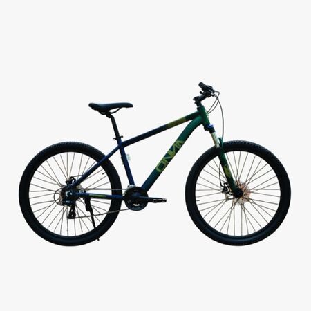 BICICLETA ONNA ROD 29 MODELO GLORY GREEN 21 SPEED ALUM TALLE L 18 FRENOSÂ DISCOÂ 29Â 210