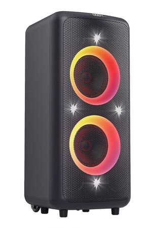 Parlante Fyd Fenda PA300 Black