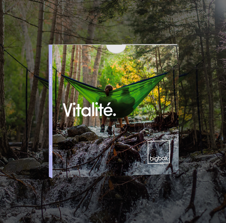Vitalité